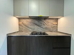 Leedon Green (D10), Condominium #460383101